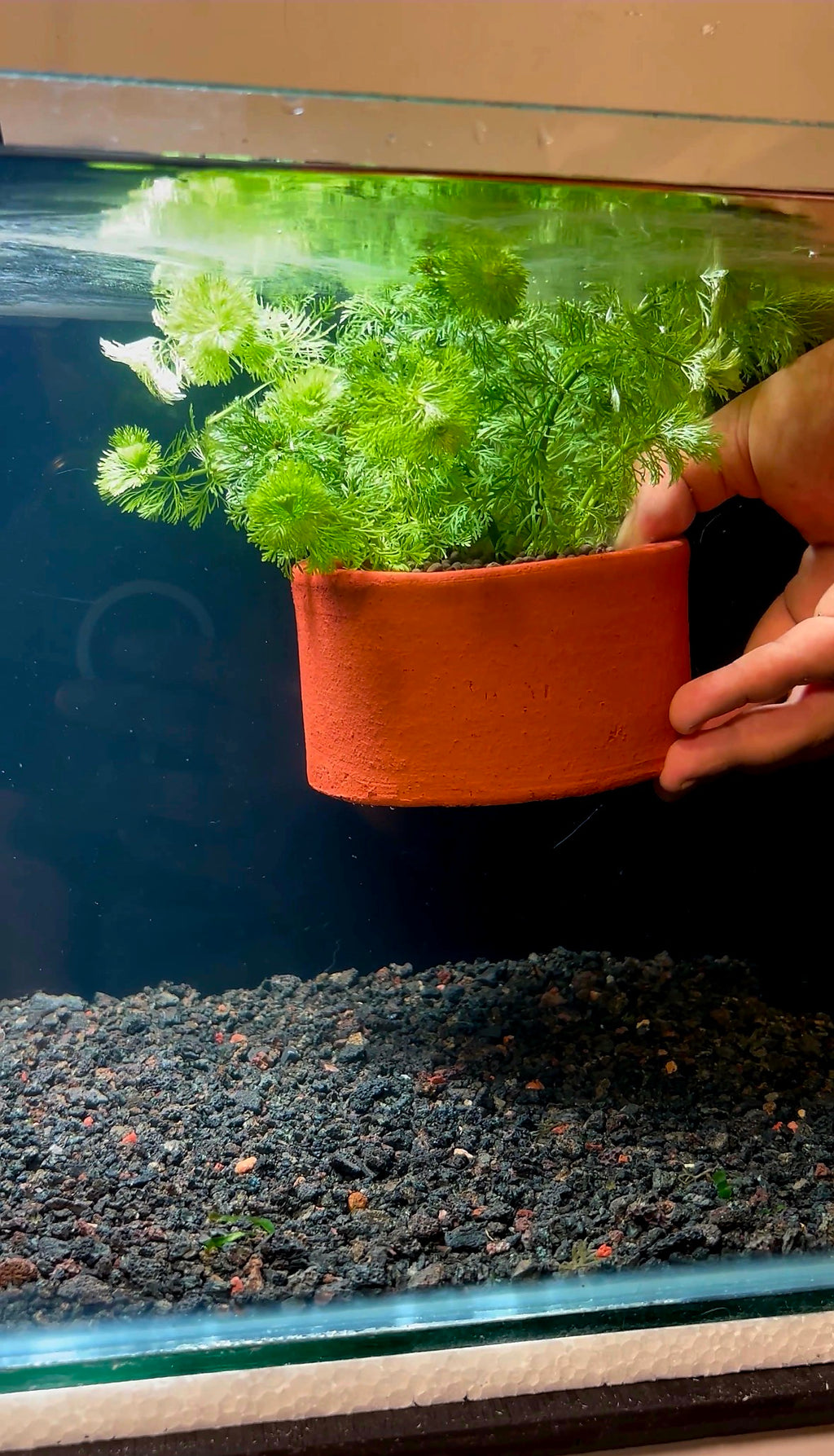 Terracotta - Mini Pot