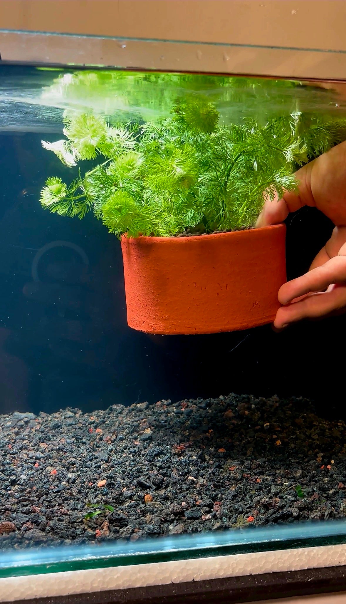 Terracotta - Mini Pot